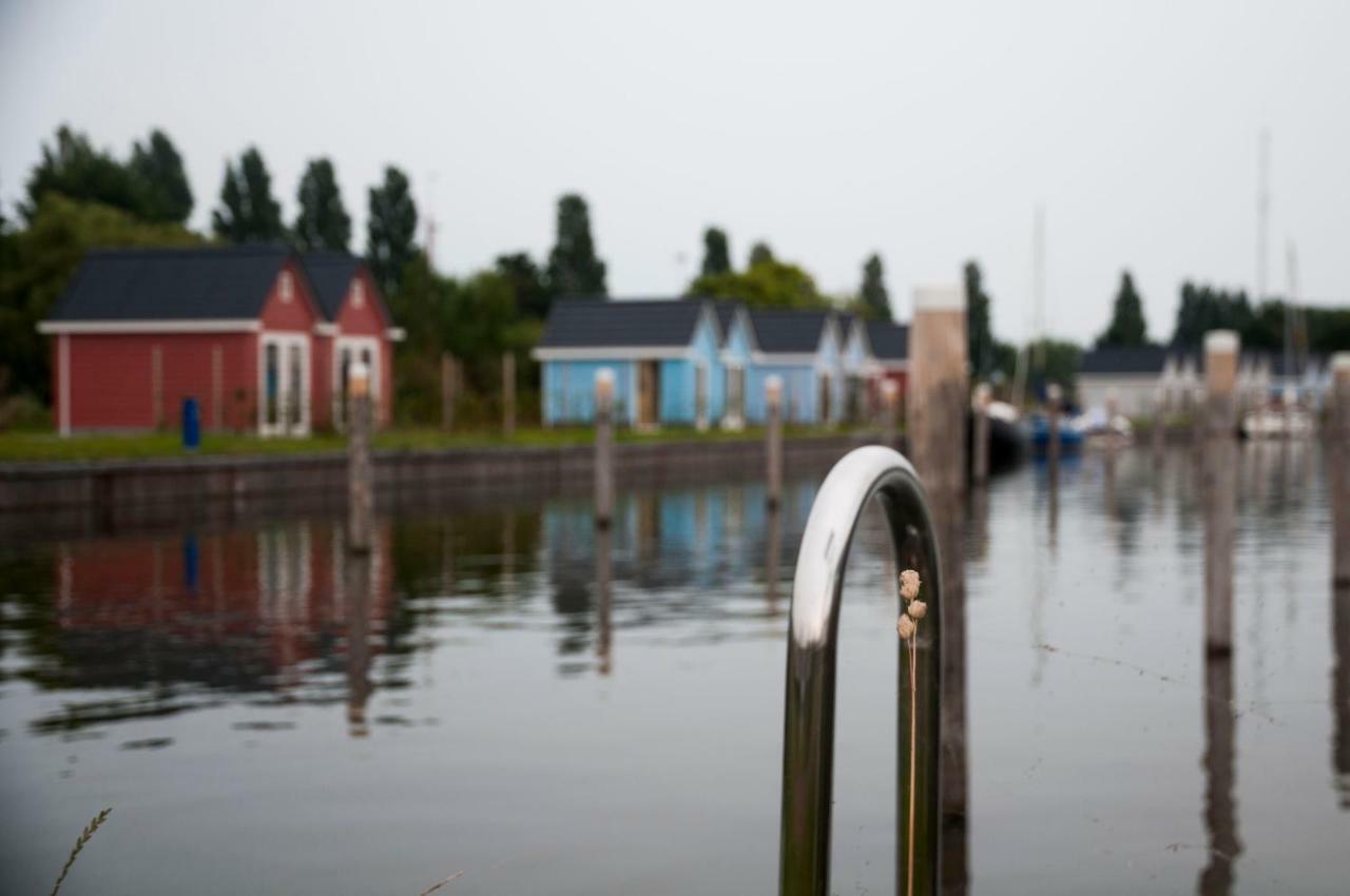 Heerlijk Huis Aan Het Ijsselmeer Stavoren Luaran gambar