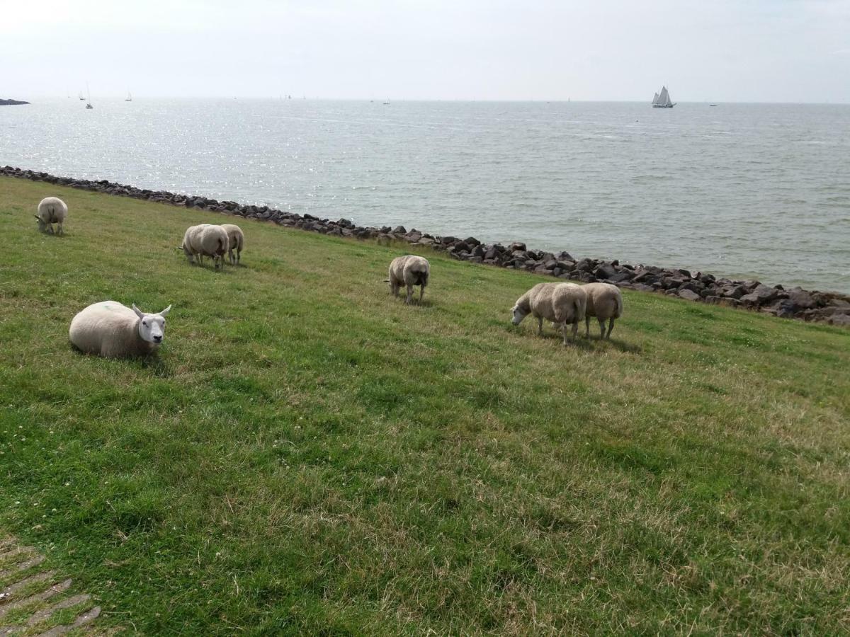 Heerlijk Huis Aan Het Ijsselmeer Stavoren Luaran gambar