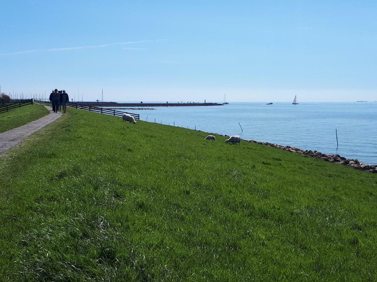 Heerlijk Huis Aan Het Ijsselmeer Stavoren Luaran gambar