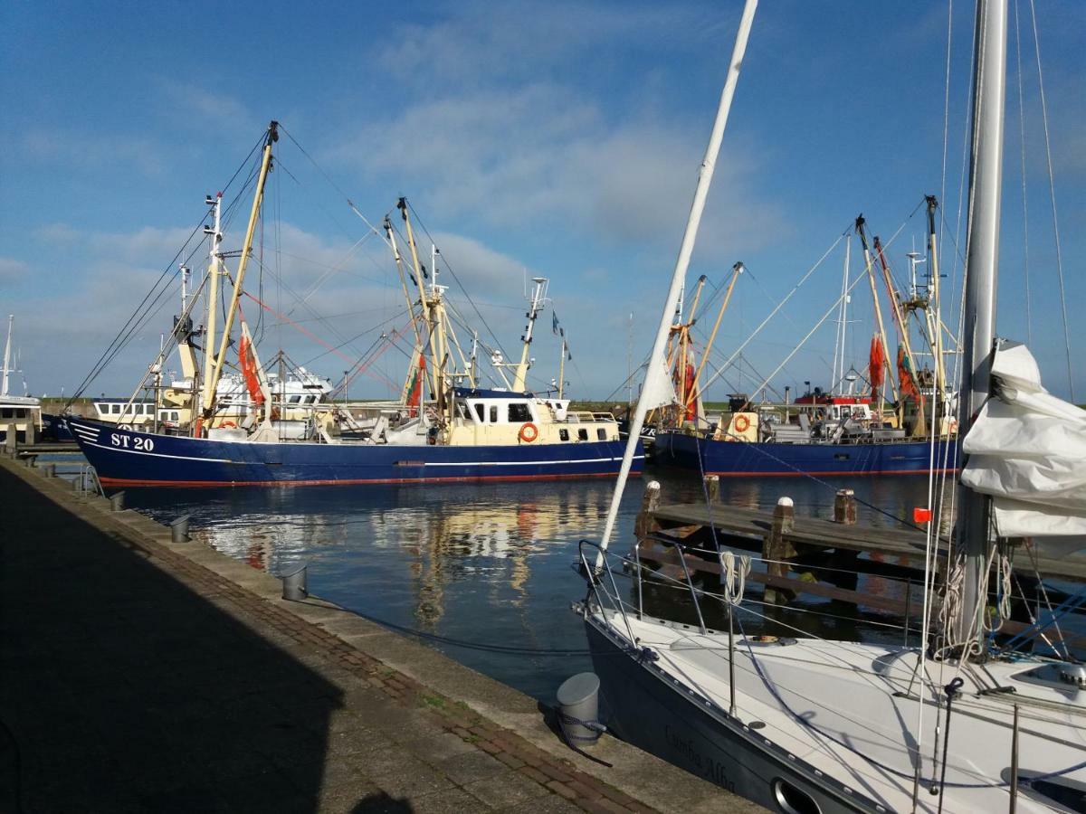 Heerlijk Huis Aan Het Ijsselmeer Stavoren Luaran gambar